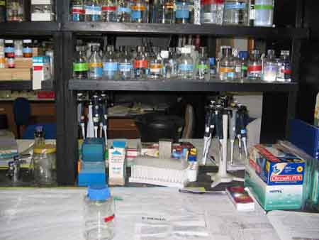 Contents of a Chemical Hygiene Plan
